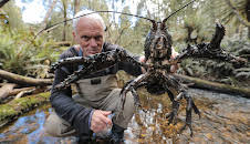 Fiske i mystiske farvann (S1 E5)