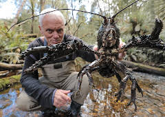 Fiske i mystiske farvann