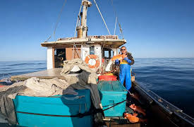 Kings of Fi$H: Kings of Fi$h S1 E4: Sink or Swim