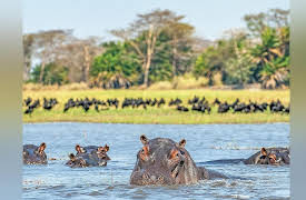 The Great Tours: African Safari: Safaris in Southern Africa