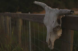 Cold Case Files: Dead West Season 1: Mystery In Cuero