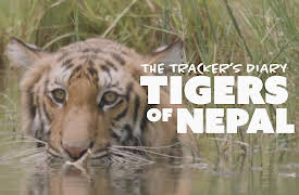 The Tracker’s Diary: Tigers of Nepal: Into the Tiger's Bedroom