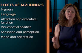 Understanding Disorders of the Brain: Alzheimer's Disease, Part 1