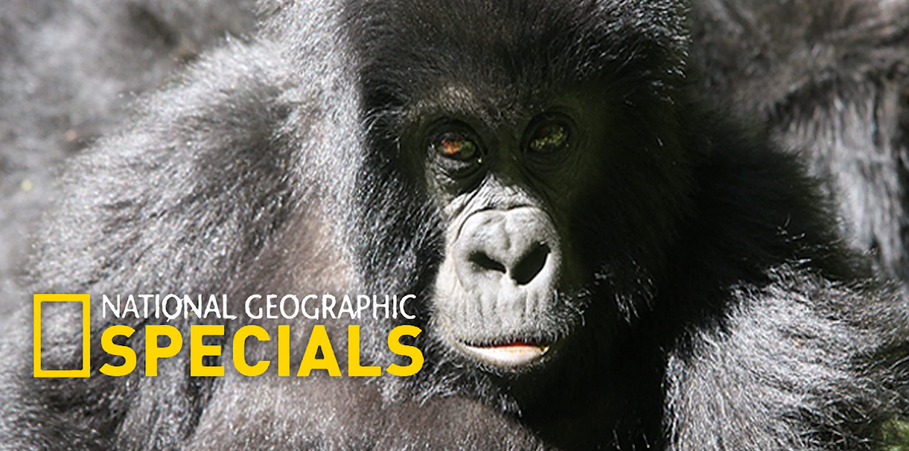 National Geographic Specials Season 1