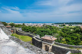 Family Ingredients, Season 1: Okinawa Soki Soba