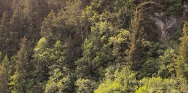 09:45: Alaska, última frontera: Llega la primavera | Discovery | 12/23 2025