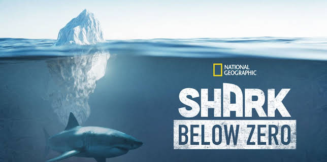 Shark Below Zero (2023)