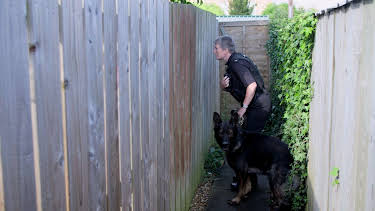 22:00: Dog Detectives (S1 E5) (S1) | Investigation Discovery | 5/27 2026