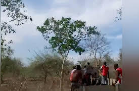 Dicing with Death: Mozambique: Where Life is the Strongest Thing There Is