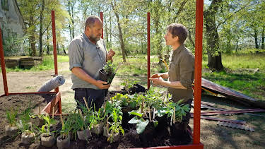 07:40: Hygge i hagen: Staudar og sniglar | NRK 1 | 4/3 2026