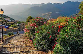 The Favorite Village Of The French: The Favorite Village Of The French 2017