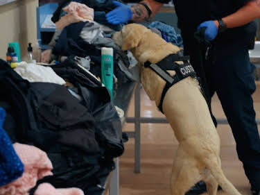 08:15: Border Patrol New Zealand | ProSieben Maxx | 5/4 2026