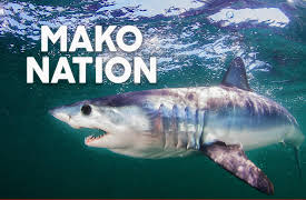 Mako Nation: Mako Nation
