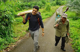Surviving Borneo: Highlands