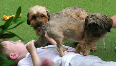 Hundehuset: Peppi og Tink