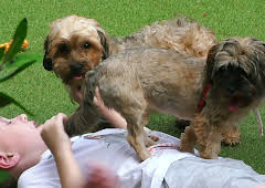 Hundehuset: Peppi og Tink