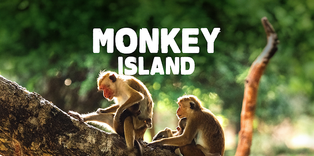 Monkey Island