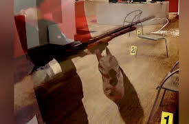 Crime Time Solvers: A Gunman In the City