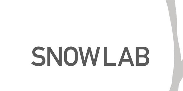 Snow Lab (2012)