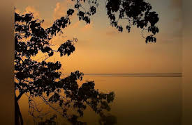 Secrets of Wild India Season 1: Elephant Kingdom