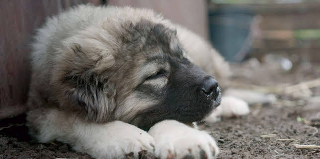 07:11: 360° Reportage | Arte | 11/8 2025