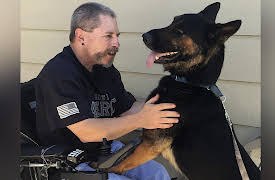 Rescue Dog To Super Dog Season 1: Sarge & Suzy Q