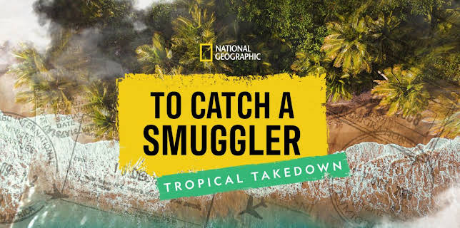 To Catch a Smuggler: Tropical Takedown