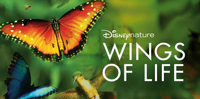 Wings of Life (2011)