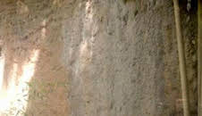 Crónicas del zoo (T1): Episodio 17