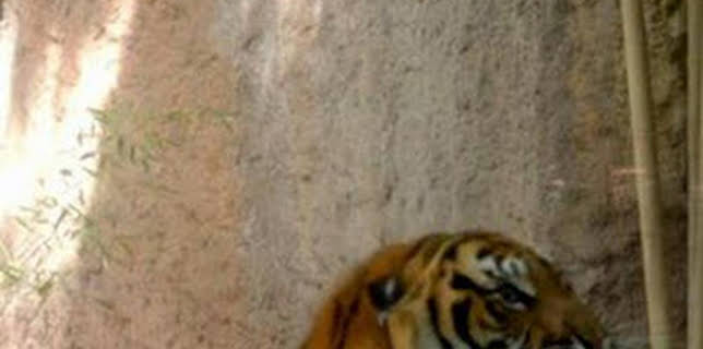 06:23: Crónicas del zoo (T1): Episodio 18 | Discovery Max | 12/21 2025