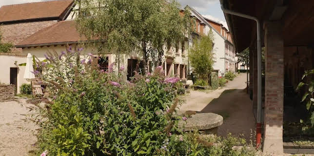 02:30: ARD Room Tour | SWR Fernsehen RP | 12/11 2025