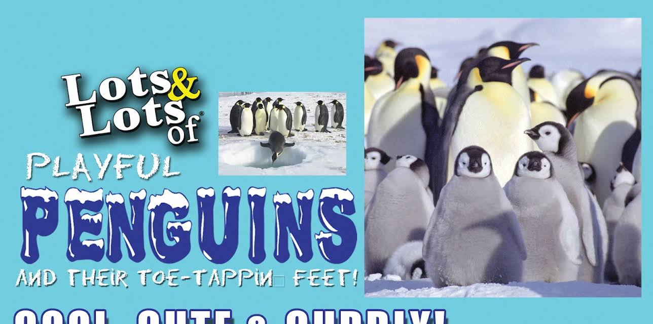 Lots and Lots of Playful Penguins - Cool, Cute and Cuddly Penguins Penguins (2016)
