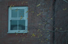 Red Flag Season 1: Living in Fear of the Man I Love