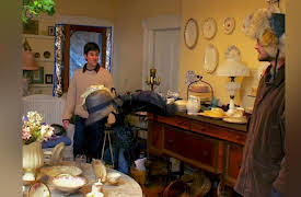 The Fabulous Beekman Boys Season 1: Trouble in Store