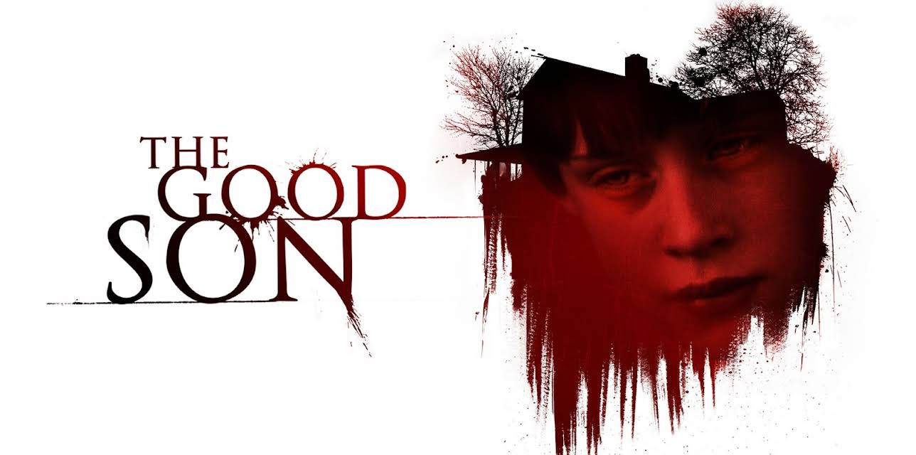 The Good Son (1993)