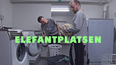 22:15: Elefantplatsen | SVT2 | 8/16 2026