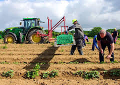 Secrets of Your Supermarket Shop