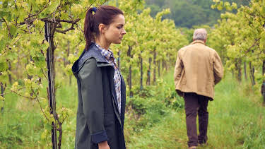 14:00: Weingut Wader - Neue Wege | Das Erste | 8/22 2026