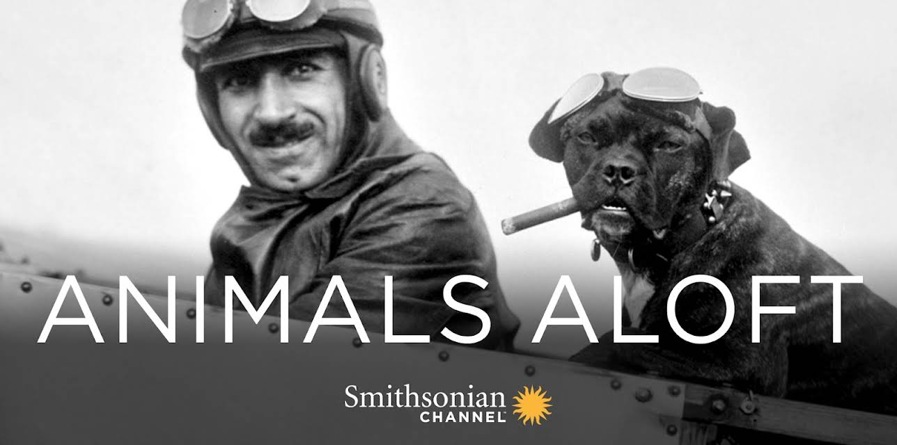 Animals Aloft (2009)