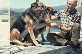 Colonia Dignidad: Chiles tyska sekt: Den oåtkomlige