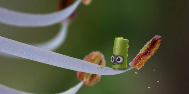 8:23 AM: Tiny Wonders (S1) | Cbeebies | 2/25 2026