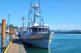 Fiskekrigen: Kamprop