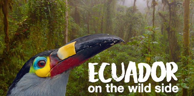Ecuador: On the Wild Side