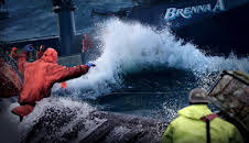 Deadliest Catch (S21 E10)