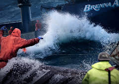 Deadliest Catch