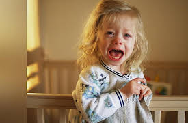 Fundamentals of Photography: Let's Go to Work--People and Relationships