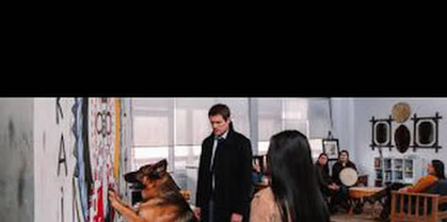 20:05: Hudson y Rex (T3): Ep.13 Una mansión sobre una colina | AXN | 1/28 2026