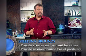 Life in the World's Oceans: Breeding and Reproduction in a Large Ocean