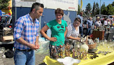 Der Trödeltrupp - Das Geld liegt im Keller (S11 E19)