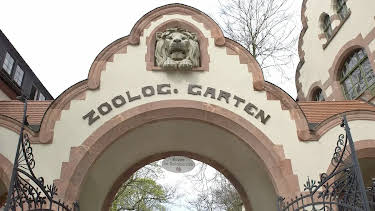 12:00: Elefant, Tiger & Co. | Radio Bremen | 4/20 2026